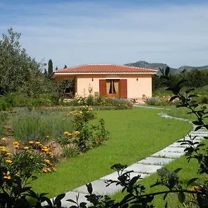 https://sarenarju.in-sardinia.net